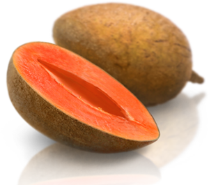 Mamey Sapote Miami Florida